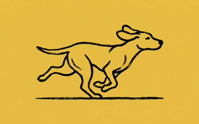 OpenConfig - Image 2